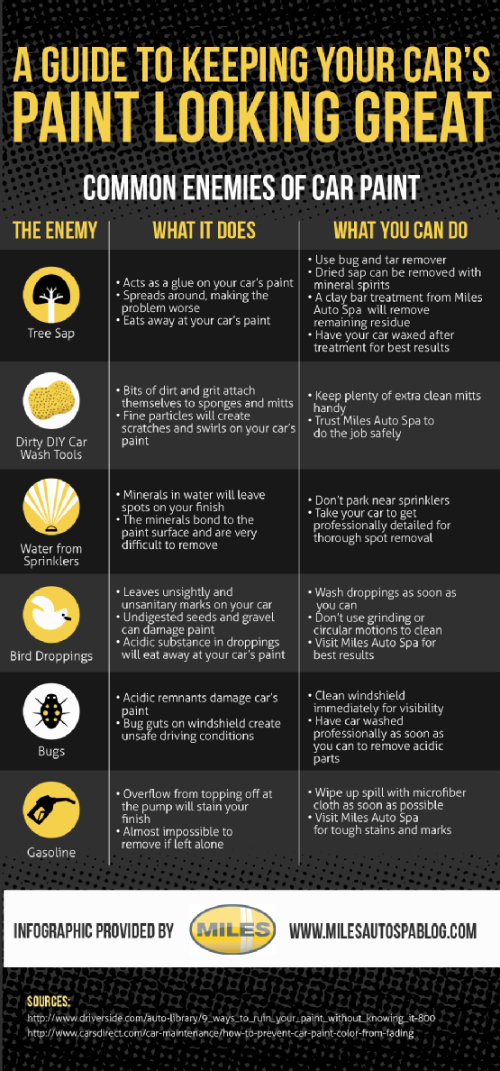 A Guide to Keeping Your Car's Paint Looking Great